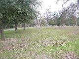 Nob Hill Park 10300 Timberoak Drive, Houston, TX 77065 (36).JPG